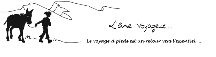 ane voyageur logo2