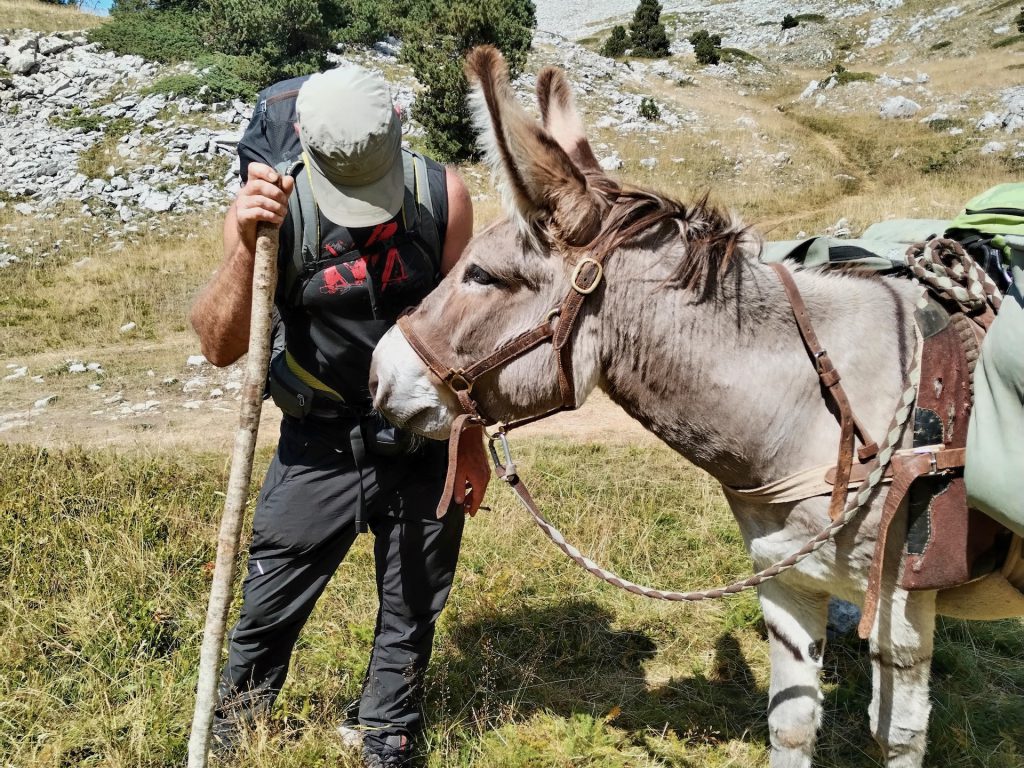 randonnee_ane_vercors_anevoyageur8